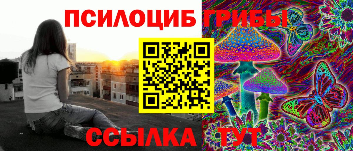 Псилоцибиновые грибы Psilocybine cubensis  Вход с VPN  Магадан 