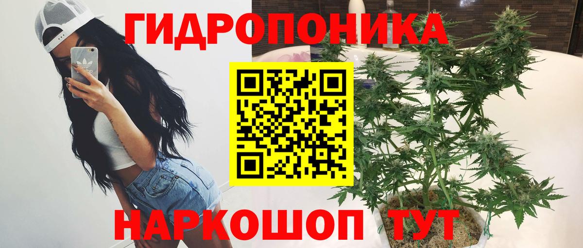 Шишки марихуана сатива  Вход с VPN  Конопля White Widow  Конопля OG Kush  Каннабис Ganja  Магадан 